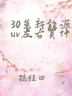 30万新能源suv左右买什么车好