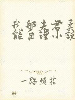 我那夫君柔弱不能自理小说版