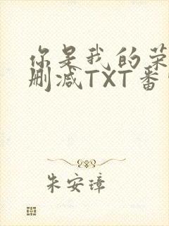 你是我的荣耀未删减TXT番外
