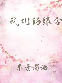 我们的缘分小说