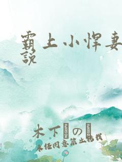 霸上小悍妻 小说