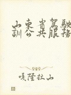 山东省驾驶员培训公共服务平台