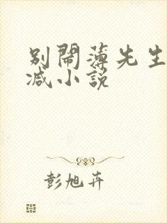 别闹薄先生无删减小说