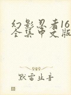 幻影忍者16季全集中文版