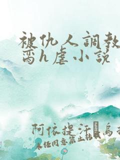 被仇人调教成禁脔h虐小说