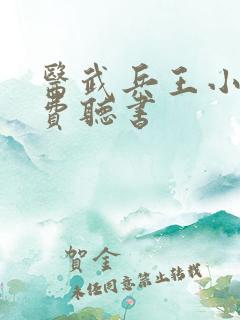 医武兵王小说免费听书