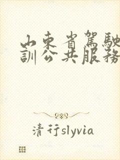 山东省驾驶员培训公共服务平台学时查询