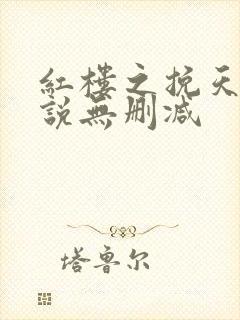 红楼之挽天倾小说无删减