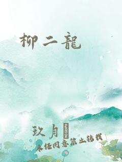 柳二龙