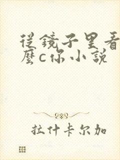 从镜子里看我怎么c你小说