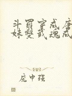 斗罗穿成唐三亲妹双武魂成神