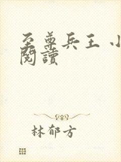 至尊兵王 小说阅读