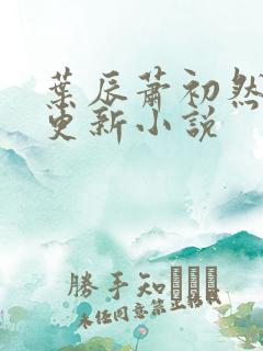 叶辰萧初然免费更新小说