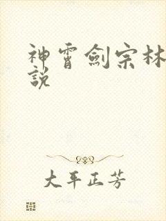 神霄剑宗林枫小说