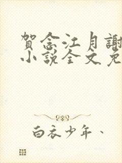 贺念江月谢泊年小说全文免费阅读笔趣阁