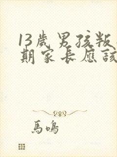 13岁男孩叛逆期家长应该怎么应对