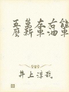 五万左右能买什么新车油车