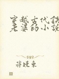 穿越古代铁匠选老婆的小说