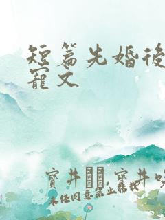 短篇先婚后爱甜宠文