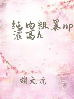 纯肉粗暴np精灌高h
