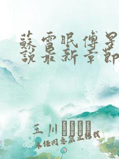 苏雪眠傅星澜小说最新章节免费阅读