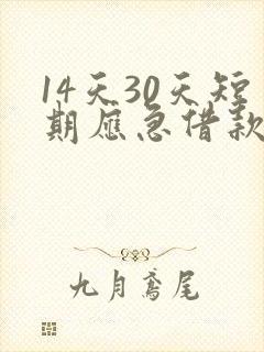 14天30天短期应急借款