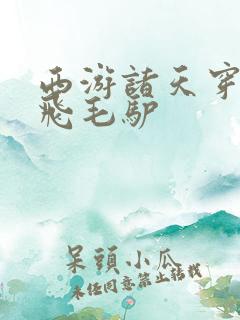 西游诸天穿越 飞毛驴