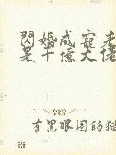 闪婚成宠老公竟是千亿大佬