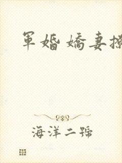 军婚 娇妻撩人