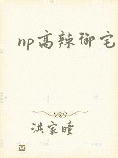np高辣御宅屋