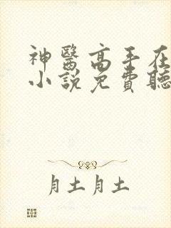 神医高手在都市小说免费听书