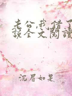 老公,我错了小说全文阅读