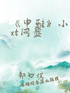 《申雅》小说txt网盘