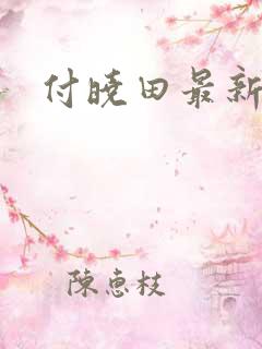 付晓田最新消息