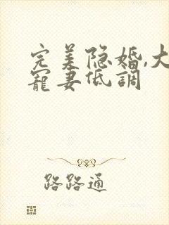 完美隐婚,大佬宠妻低调