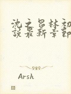 沈之昂林初窈小说最新章节免费阅读