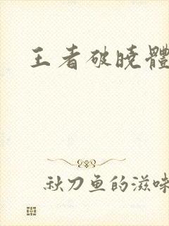 王者破晓体验服