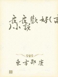 夜夜欢好(高h)小说