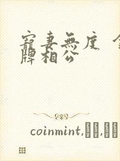 宠妻无度  金牌相公