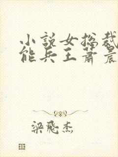 小说女总裁的全能兵王萧晨完结版