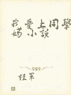 我爱上同学的妈妈 小说