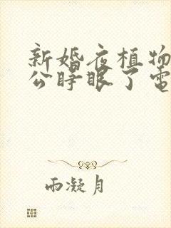 新婚夜植物人老公睁眼了电视短剧