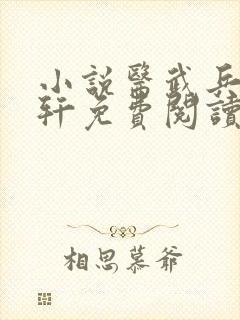 小说医武兵王陆轩免费阅读