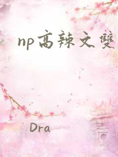 np高辣文双性