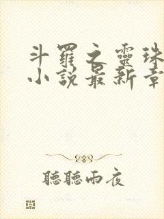 斗罗之灵珠神剑小说最新章节目录