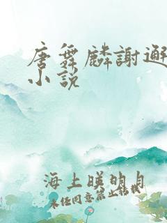 唐舞麟谢邂cp小说