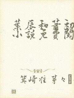 叶辰和萧初然的小说免费阅读无弹窗