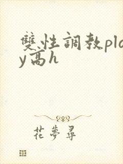 双性调教play高h