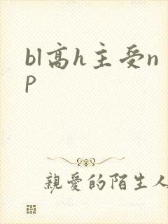bl高h主受np
