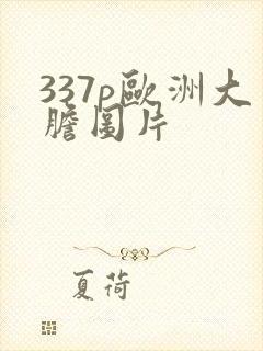 337p欧洲大胆图片